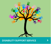 Disability Support link